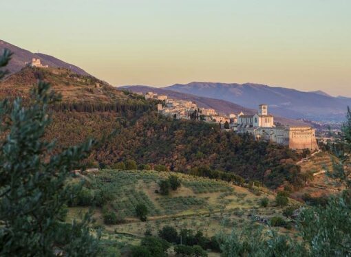 Sulle tracce di fratello lupo nel Bosco di San Francesco