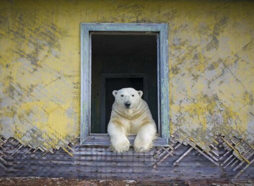 Benvenuti in una mostra fotografica davvero… bestiale!