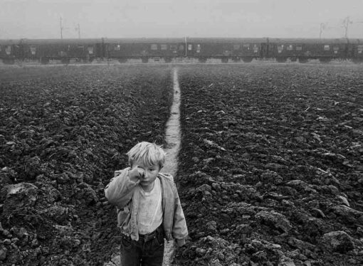 Al MAR di Ravenna 180 fotografie di Sebastião Salgado